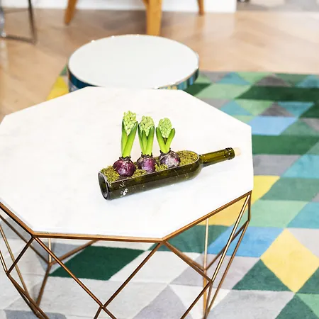 Maya's Flats & 44 - 3 On C * Γκντανσκ